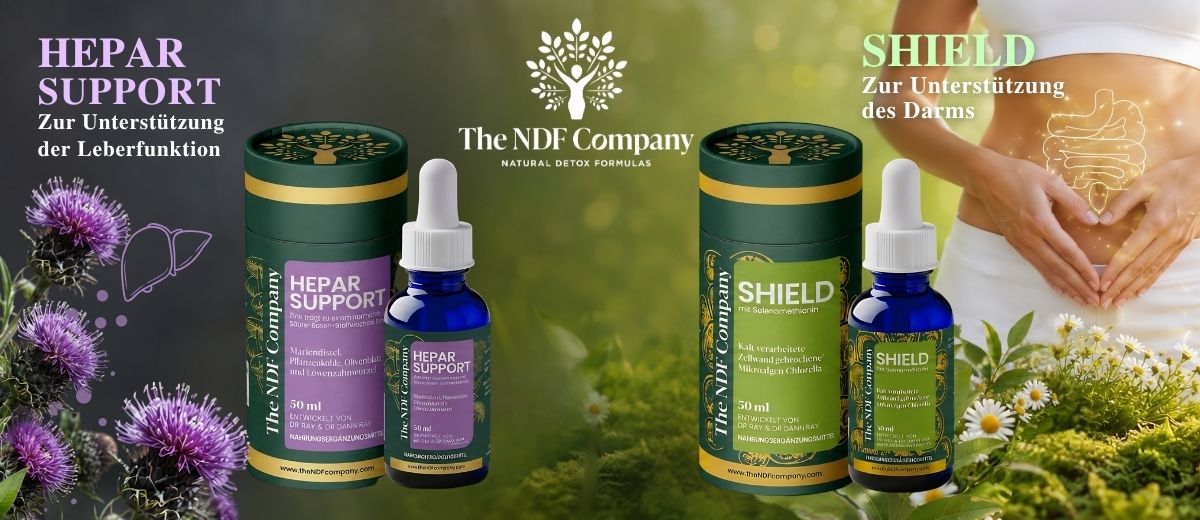 Banner The NDF Company zeigt die Produkte Hepar Support und Shield