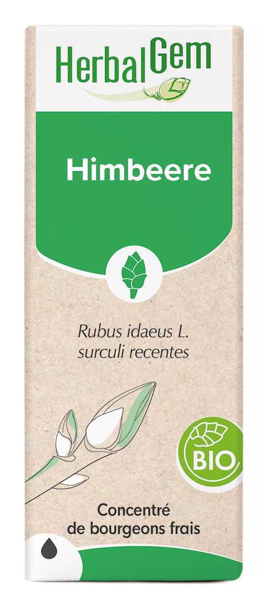 Himbeere