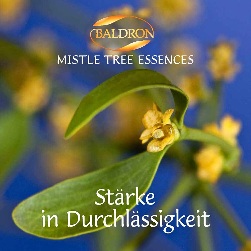 Mistelbaumessenz